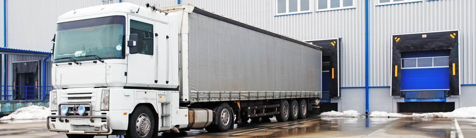 Xpress ,Primary & Secondary Distributions in Mumbai